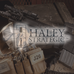 Haley Strategic Partners